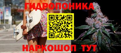 Альфа ПВП Будённовск