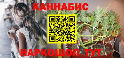 Альфа ПВП Будённовск
