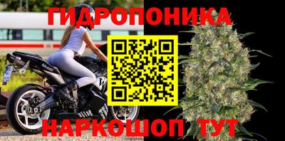 Альфа ПВП Будённовск