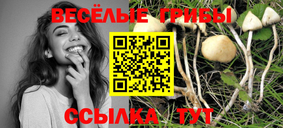 Псилоцибиновые грибы ЛСД Нижний Новгород